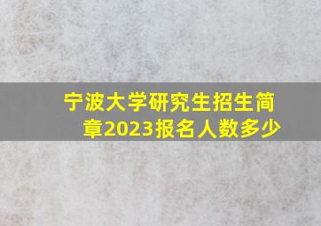 宁波大学研究生招生简章2023报名人数多少