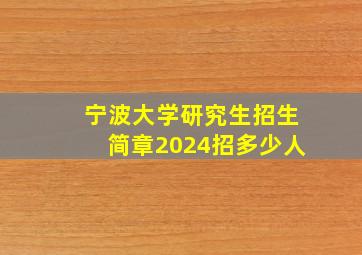 宁波大学研究生招生简章2024招多少人