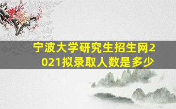 宁波大学研究生招生网2021拟录取人数是多少