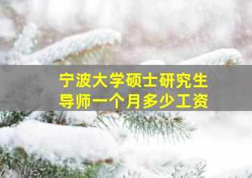 宁波大学硕士研究生导师一个月多少工资