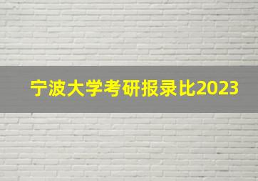 宁波大学考研报录比2023