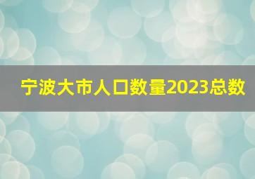 宁波大市人口数量2023总数