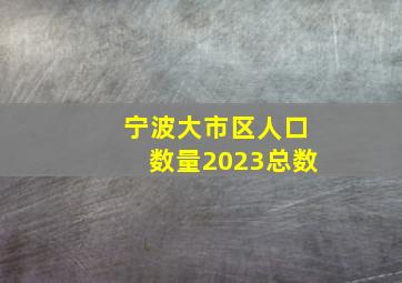 宁波大市区人口数量2023总数