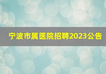 宁波市属医院招聘2023公告