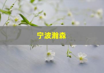 宁波瀚森