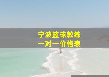 宁波篮球教练一对一价格表