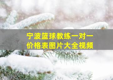 宁波篮球教练一对一价格表图片大全视频