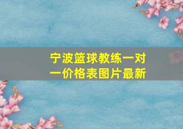 宁波篮球教练一对一价格表图片最新