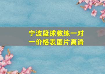 宁波篮球教练一对一价格表图片高清