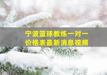 宁波篮球教练一对一价格表最新消息视频