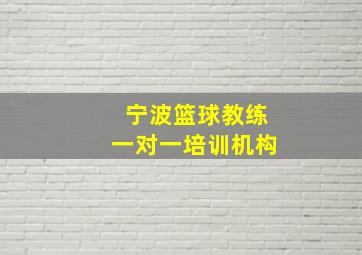 宁波篮球教练一对一培训机构