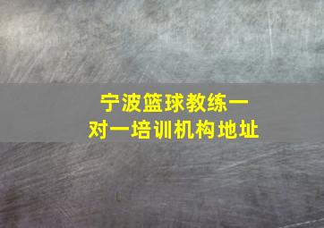 宁波篮球教练一对一培训机构地址