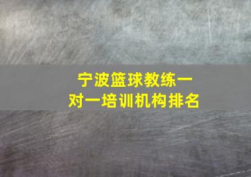 宁波篮球教练一对一培训机构排名