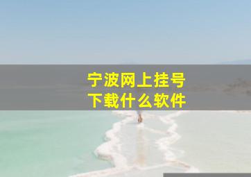 宁波网上挂号下载什么软件