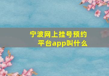 宁波网上挂号预约平台app叫什么