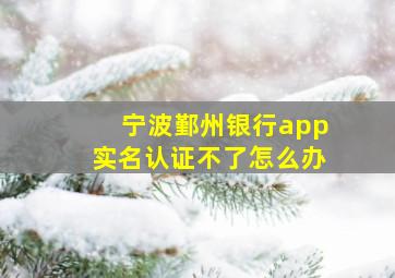 宁波鄞州银行app实名认证不了怎么办