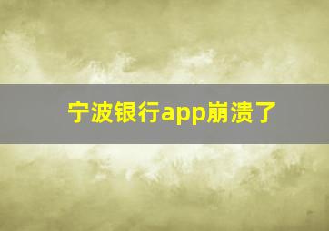 宁波银行app崩溃了