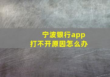 宁波银行app打不开原因怎么办