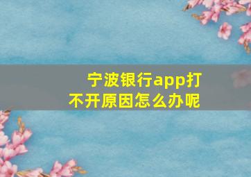 宁波银行app打不开原因怎么办呢