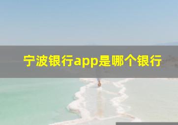 宁波银行app是哪个银行