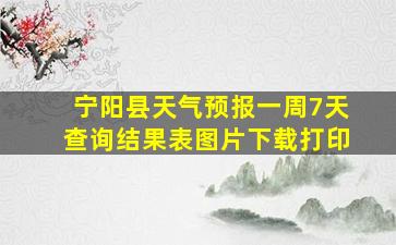 宁阳县天气预报一周7天查询结果表图片下载打印