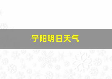 宁阳明日天气