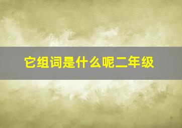 它组词是什么呢二年级