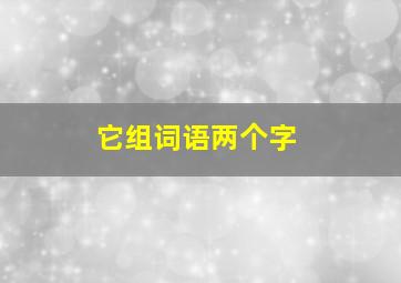 它组词语两个字