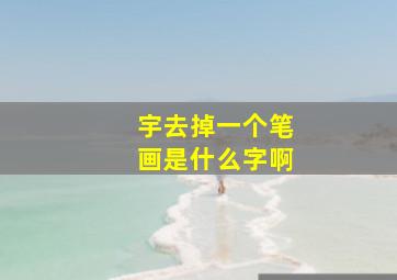 宇去掉一个笔画是什么字啊