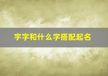 宇字和什么字搭配起名