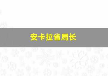 安卡拉省局长