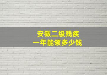 安徽二级残疾一年能领多少钱