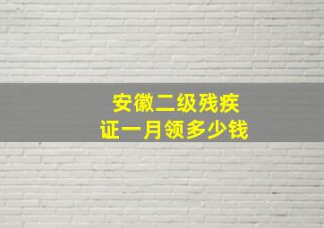 安徽二级残疾证一月领多少钱