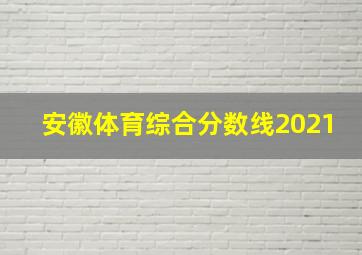 安徽体育综合分数线2021