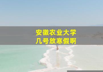 安徽农业大学几号放寒假啊