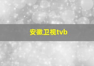 安徽卫视tvb