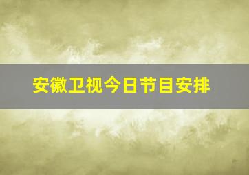 安徽卫视今日节目安排