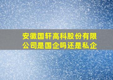 安徽国轩高科股份有限公司是国企吗还是私企