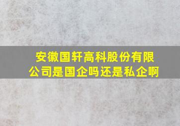 安徽国轩高科股份有限公司是国企吗还是私企啊