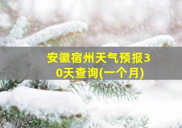 安徽宿州天气预报30天查询(一个月)