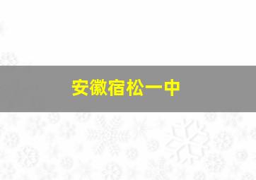 安徽宿松一中