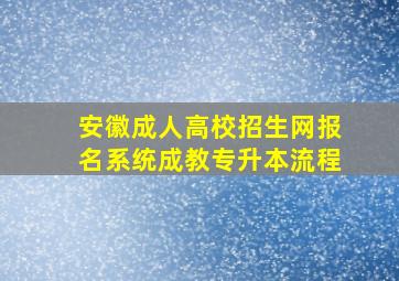 安徽成人高校招生网报名系统成教专升本流程