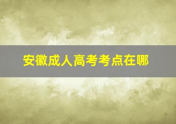 安徽成人高考考点在哪