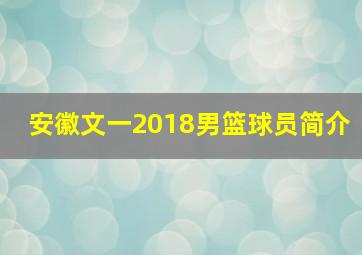 安徽文一2018男篮球员简介