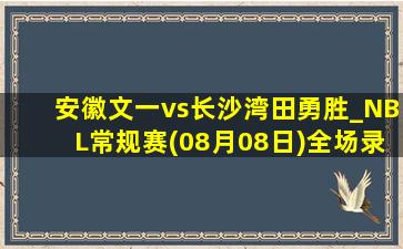 安徽文一vs长沙湾田勇胜_NBL常规赛(08月08日)全场录像