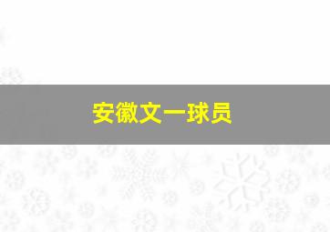 安徽文一球员