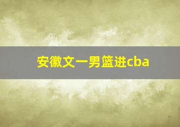 安徽文一男篮进cba