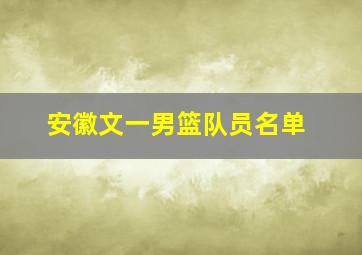 安徽文一男篮队员名单