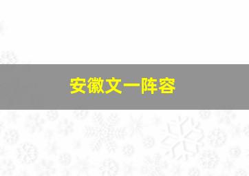 安徽文一阵容