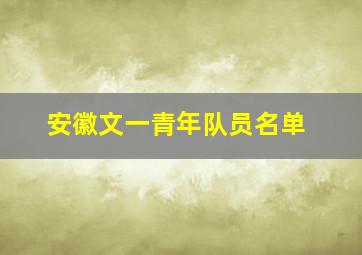 安徽文一青年队员名单